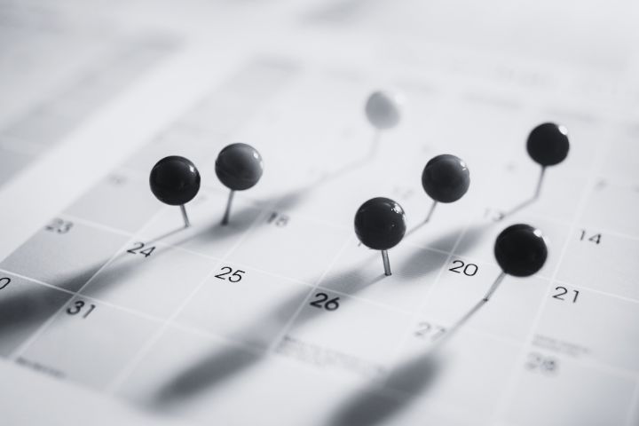 calendario editorial